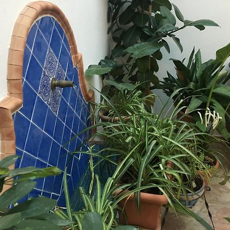Ferienwohnung La Casa Del Rio Córdoba Exterior foto